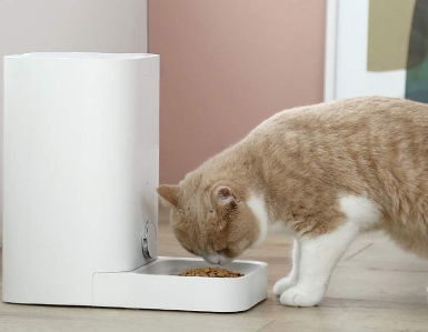 Cat Feed with Feeding Machine